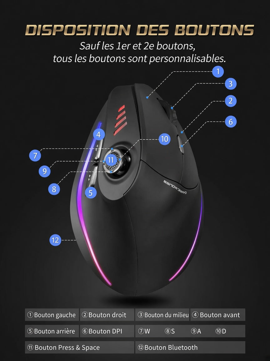 Souris Ergonomique Verticale ZELOTES F18 — Confort Bureau & Précision Gaming